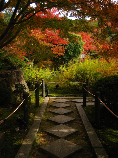 Entering the gardens of Tenju-an. The path turns at right angles preventing the visitor from seeing anything but a glimpse of colour when they first step foot through the garden gate.
