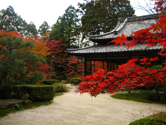 Stretch of sand behind the main hall at Tenju-an, encircled by autumn colours.