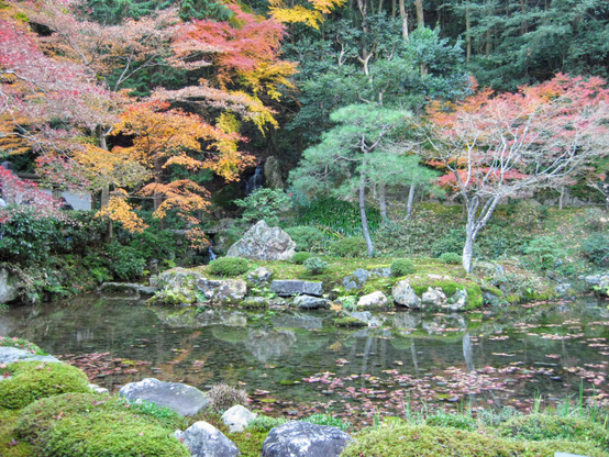 The pond at Nanzen-in (this temple is where the complex of Nanzen-ji began) in autumn.