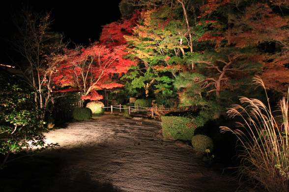 Autumn light up at Tenju-an.