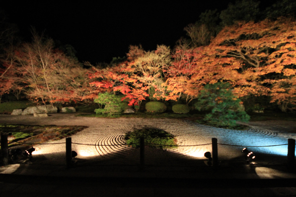 Autumn light up at Tenju-an.