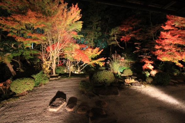 Autumn light up at Tenju-an.