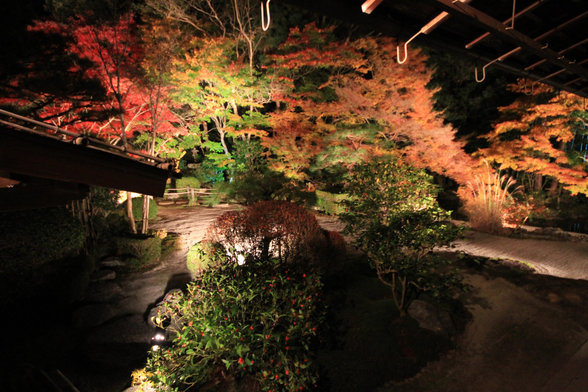 Autumn light up at Tenju-an.