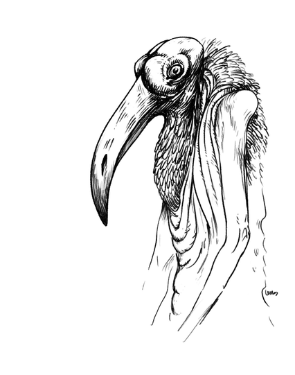 Drawing of a person with a sinster bird's head