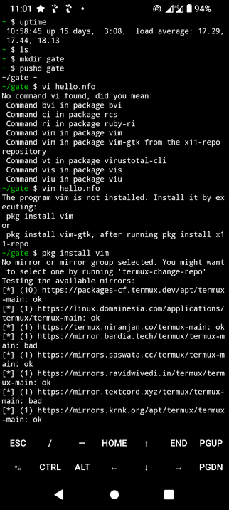 Vim install sequence shown with PKG 
