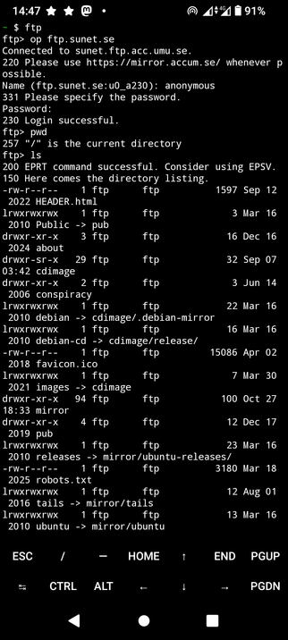 ftp session shown with ftp server from bash 