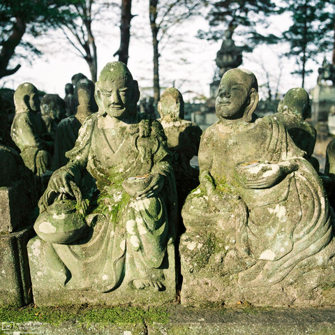 Rakan (Buddha disciples) statues at Kita-in Temple in Kawagoe, Saitama Prefecture, Japan. Carved between 1782 and 1825, a total of 540 statues portray the disciples in a great variety of positions, so that no two are alike.