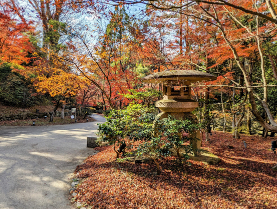 Beneath the Odoi the Tenjingawa river is flanked by groves of maple trees that come alive in the autumn.