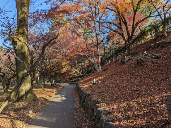 Beneath the Odoi the Tenjingawa river is flanked by groves of maple trees that come alive in the autumn.