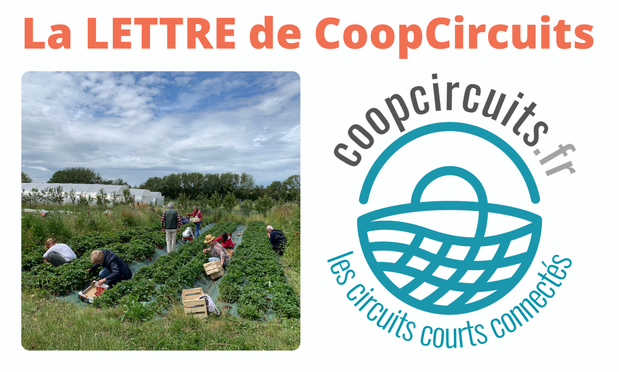 bannière de présentation de "La LETTRE de CoopCircuits"
Une photo de récolte
et le logo de CoopCircuits