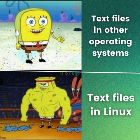 In the first slide, a meek-looking Spongebob is on the left; he is called "Text files in other operating systems."

In the second slide, there is a ripped/swole Spongebob; he is called "Text files in Linux."