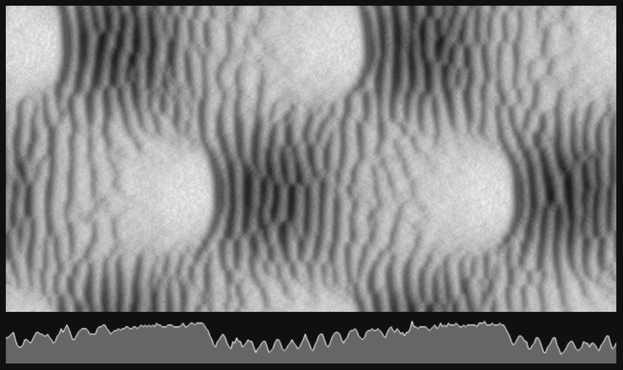 Screenshot showing a 2D grayscale height map of the simulated dune formation process. Below it is a cross-section profile view of the map's center row...