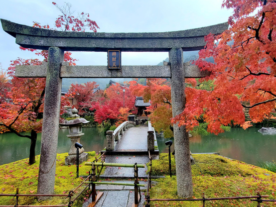 Shrine to Benzaiten on a small island in the Hojo Pond at Eikando.