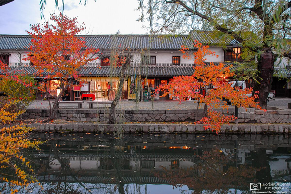 An autumn scene by the canal in the historic Bikan District of Kurashiki in Okayama Prefecture, Japan. Two canalside trees in front of a renovated traditional warehouse are displaying red foliage, and the scene is reflected off the quiet water surface.
