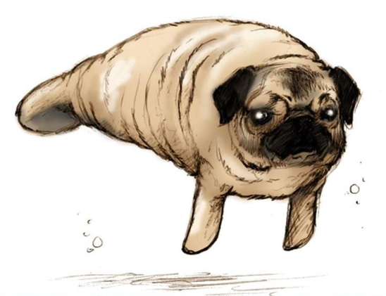 An adorable drawing of a pug-manatee mashup, floating in a white void. It has the cutest, grumpy, smooshed-up pug face, and a furry manatee body with nubby tail and front flippers. It was originally drawn by Vondell on Tumblr, roughly a decade ago.