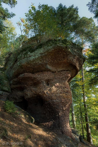 A vertical rock shaped like an elephant's head seen in profile supports a thick rocky plateau on which a few trees are growing. The rocky plateau seems to rest on the elephant's head and large ears, with its trunk reaching down to the ground, seemingly holding up the whole structure.