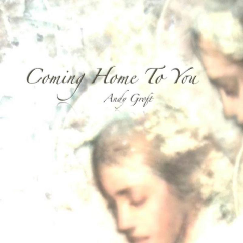 Cover: Ronald Langestraat - Then And Forever