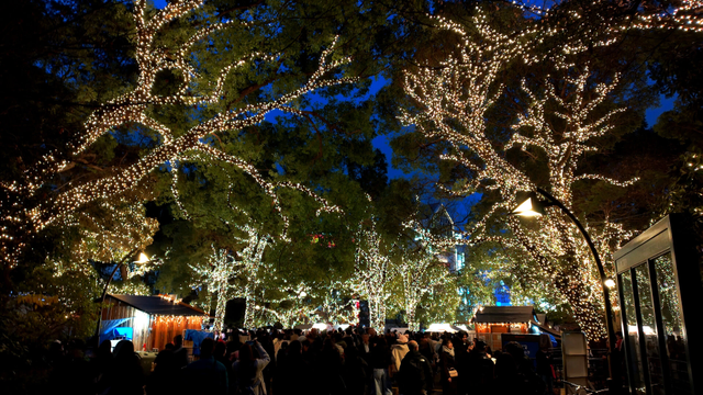 Under cover of the canopy of some big old trees, stalls, a stage, and a crowd crowd the southern tip of the park in the evening. The trunks and heavy branches are wrapped in Christmas lights.