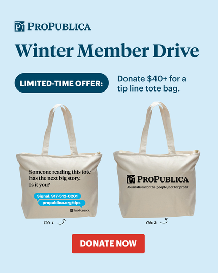 Graphic shows both sides of a white ProPublica tote bag. One side reads "Someone reading this tote has the next big story. Is it you?" and has contact information for ProPublica. The other side has ProPublica's logo and the tagline, "Journalism for the people, not for profit." Text on graphic reads: "Winter Member Drive. Limited Time Offer. Donate $40+ for a tip line tote bag. Donate now."