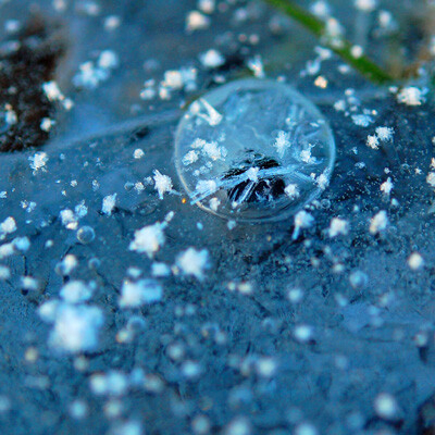 氷の表面に霜がついた写真