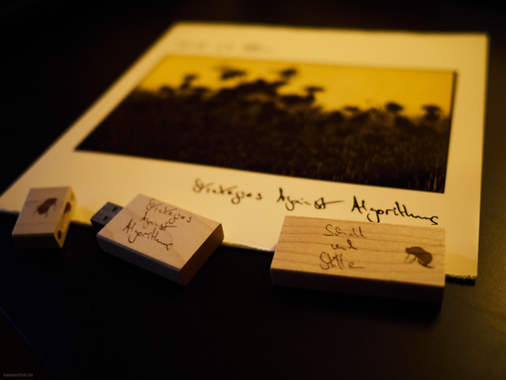 Two wooden USB thumb drives and a booklet. Both are labeled "Schall und Stille" and "Strategies Against Algorithms". 