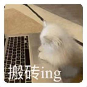 Photo of a cat in front of a keyboard. White overprinting in the left lower corner: "搬砖ing" 