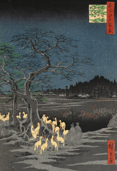 Foxes gather under a tall, mostly leafless hackberry tree on New Year's Eve; from here, they will make their annual pilgrimage to the Oji Inari Shrine. In the shadowy fields beyond, more foxes have gathered, and a number of kitsunebi - magical foxfires - glow and dance in the air around them. Further on, traditional thatched-roof farm buildings are tucked in next to a forested hillside; these buildings are dark and quiet, the humans who live there seemingly oblivious to the activity in the fields. Above, scattered stars shine in a cloudless night sky.