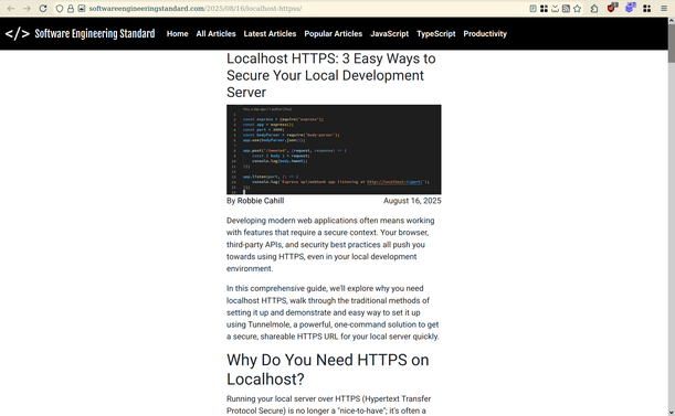 Website with black header and a thin column of text in the center, while there are a lot of wasted unused space left and right on it.
Header proudly states "Software Engineering Standard".