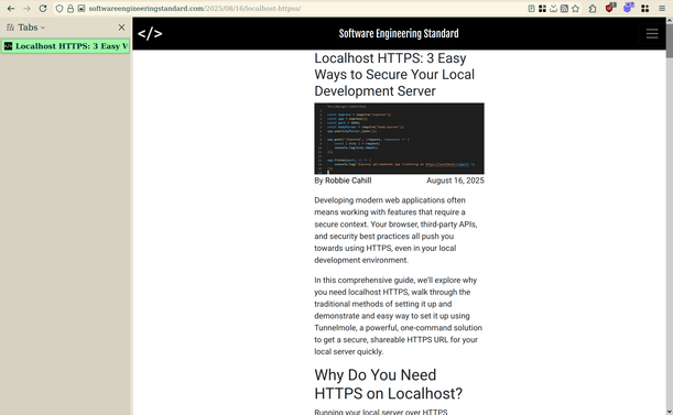Website with black header and a thin column of text in the center, while there are a lot of wasted unused space left and right on it.
Header proudly states "Software Engineering Standard".

The Sideberry panel is opened, so the column of text is extremely thin.