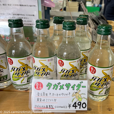 タガメサイダー