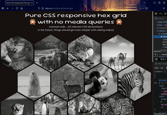 Recording of resizing the viewport and seeing the hex grid layout adapt.
