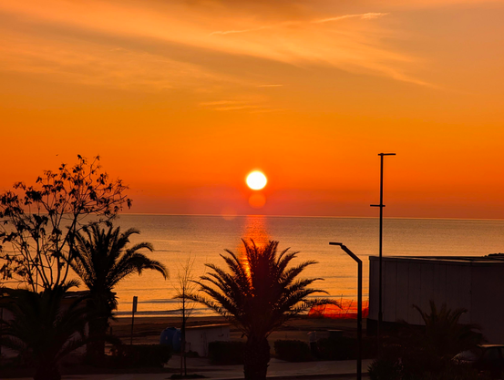 A breathtaking sunrise unfolds over the horizon, painting the sky with hues of soft gold, vibrant orange, and delicate pink. The calm sea mirrors the sky’s warmth, signaling the start of a new day. Silhouettes of palm trees stand gently against the morning light, while a quiet, distant structure anchors the scene. As the first light of dawn breaks through, it brings with it a sense of renewal and hope - a reminder that each new day holds the potential for growth, beauty, and the quiet peace that exists in the world despite everything.
