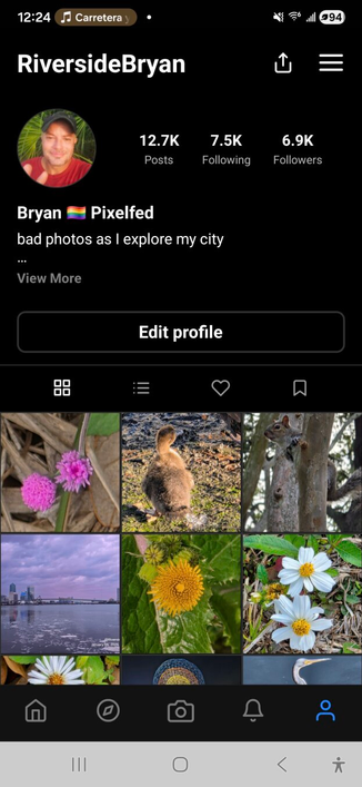 Screengrab of my pixelfed profile