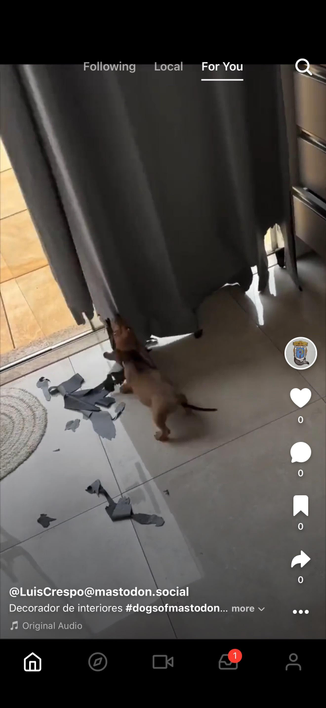 loops app for you feed with a video from mastodon.social