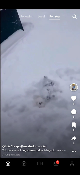 loops app for you feed with a video from mastodon.social