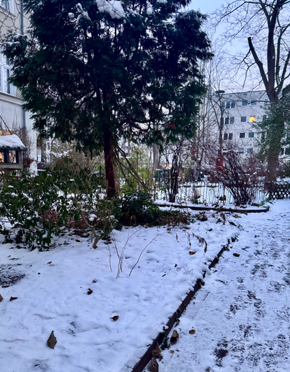 photo contains a view into a courtyard covered in snow.