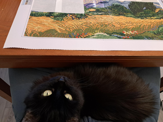 A view of someone sitting at a table with a black cat on their lap looking up. There is a half finished diamond painting on the table.