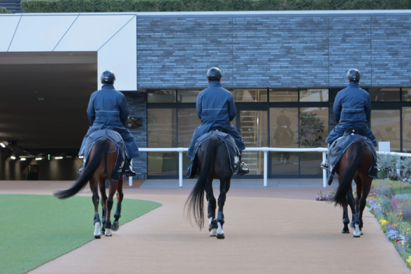 京都競馬場の誘導馬のおケツ