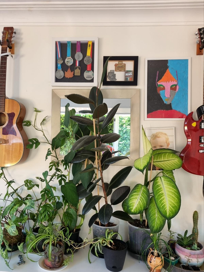 A picture of the wall in my dining room. The top of a bookshelf is overflowing with houseplants. There is homemade artwork and two guitars hanging on the wall