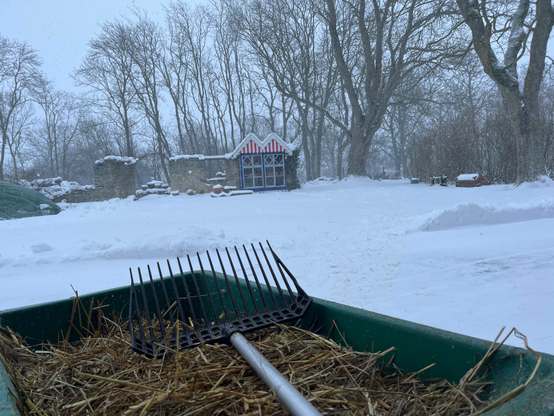 A photo of a cart with horseshit with a blizzard in the background.