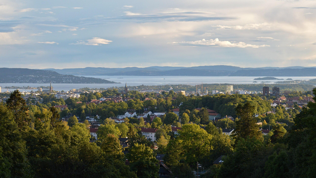 A photo looking down a hill at the city of Oslo. The Oslofjord is visible in the distance. There are many green trees and the sky is filled with hazy clouds.