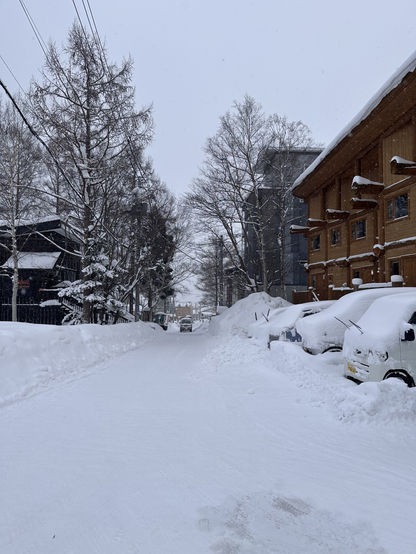 One of the back streets in Grand Hirafu. The road is entirely snow, with banks of snow along the sides. Cards on the right are buried under fresh snow.