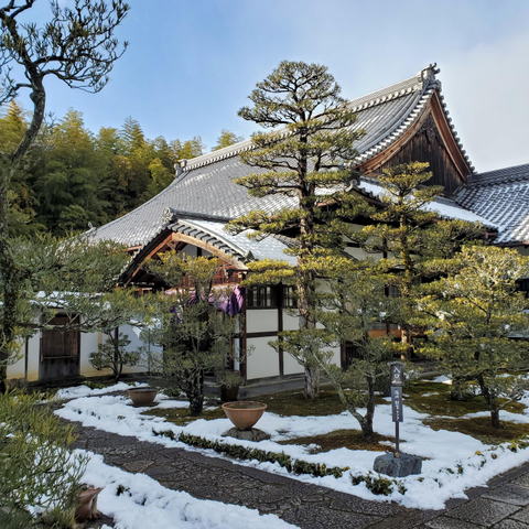 Torin-in in the snow.