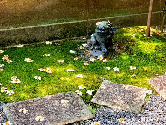 Fallen sal leaves on a statue at Torin-in. 