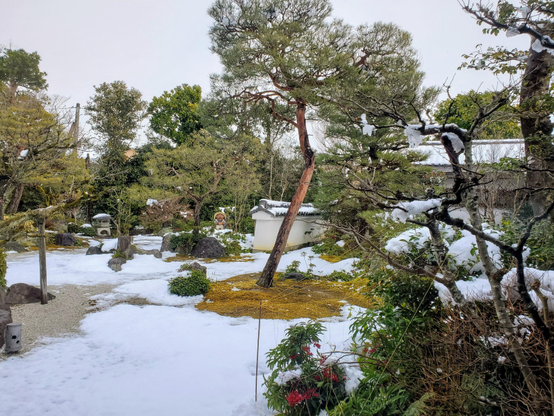 The snowy garden at Torin-in.