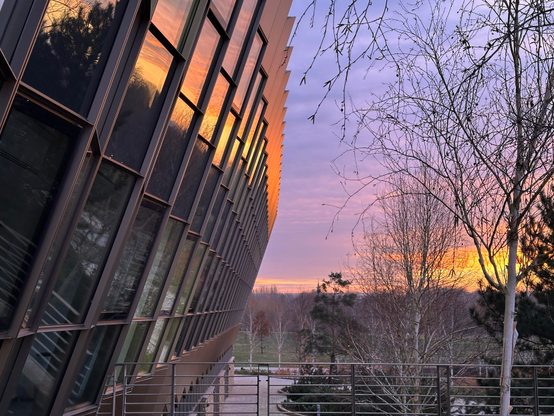 Office building at sunset. The sunlight is reflecting off the glass. It’s very pretty. 