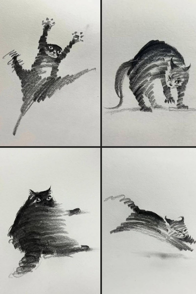A four-panel series of charcoal drawings on white paper depicting a black cat in various energetic movements. The top-left panel shows the cat mid-air with limbs spread wide; the top-right shows it with an arched back and bared claws; the bottom-left features the cat sitting while looking back with a blurred motion effect; and the bottom-right shows it pouncing forward.
