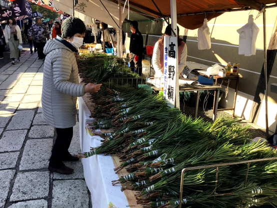 A woman shops for sprigs of umbrella pine at market day.