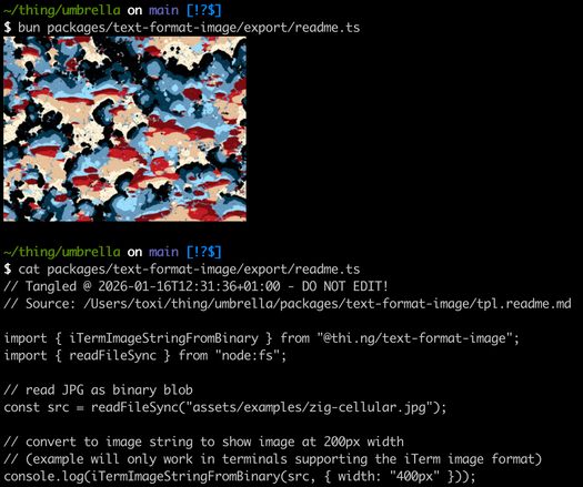 Screenshot of a CLI/Terminal with the code example from the thi.ng/text-format-image readme and the resulting image output as part of the normal flow...