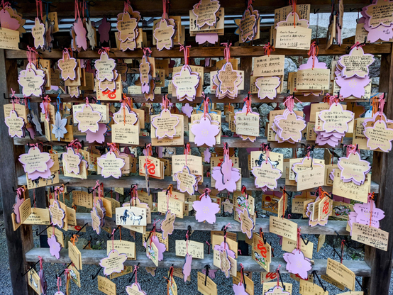 Votive tablets at Kifune-jinja. As well as the famous depictions of a white and black horse, the shrine also provides seasonal votive tablets (as it was spring you can see some in the shape of a sakura blossom).